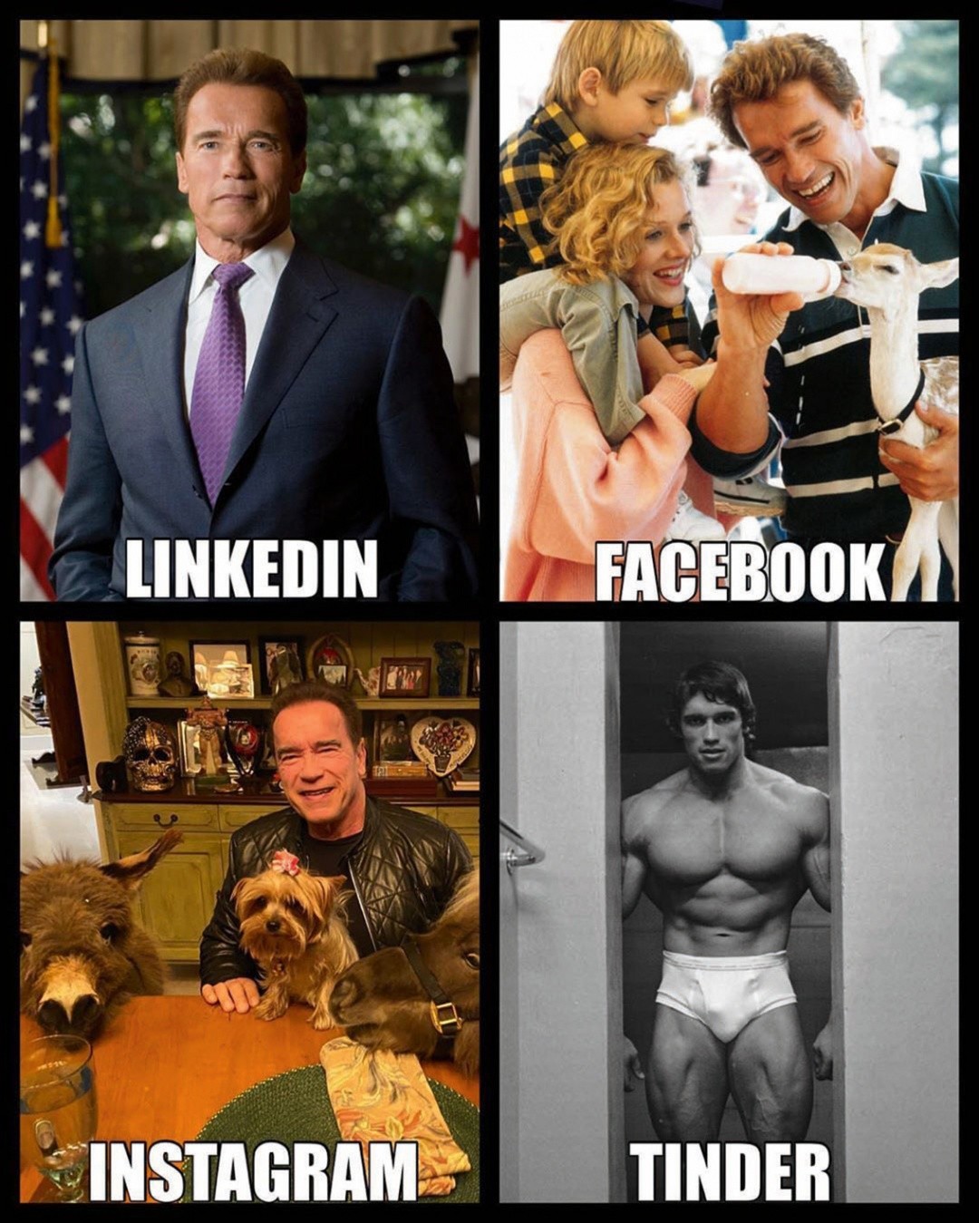 Arnold Schwarzenegger #DollyPartonChallenge